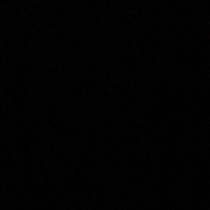 Meet your Posher, Paige